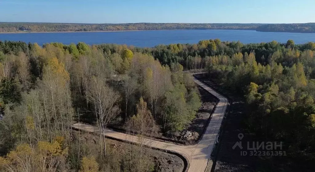 Участок в Ленинградская область, Выборгский район, Приморское ... - Фото 2