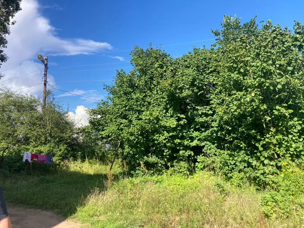 Дом в Новгородская область, Валдай ул. Выскодно 2, 15Г (58 м) - Фото 2