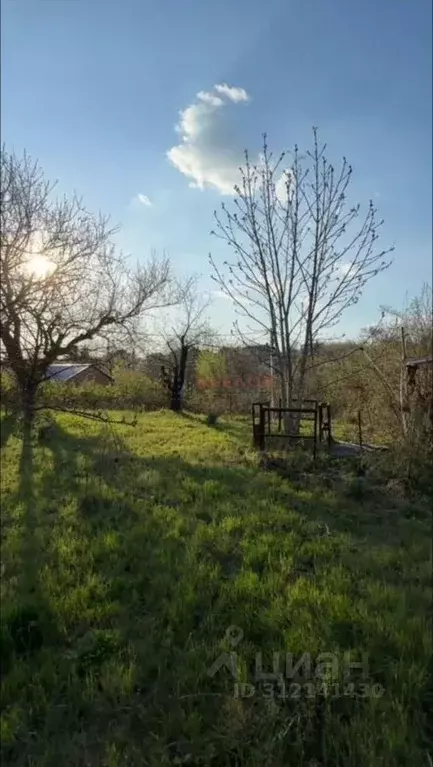 Участок в Ростовская область, Ростов-на-Дону Садовод-Любитель садовое ... - Фото 0