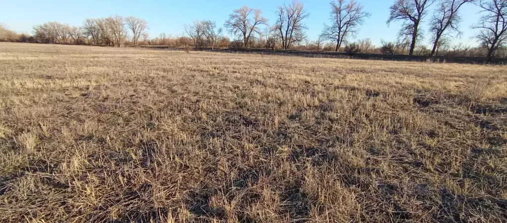 Участок в Волгоградская область, Среднеахтубинский район, ... - Фото 1