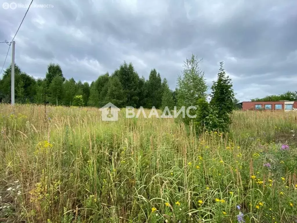 Участок в Пензенский район, Алферьевский сельсовет, СТ Лазурное (11.57 ... - Фото 2