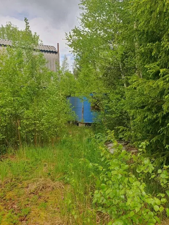 Участок в Ленинградская область, Выборгский район, Рощинское городское ... - Фото 2