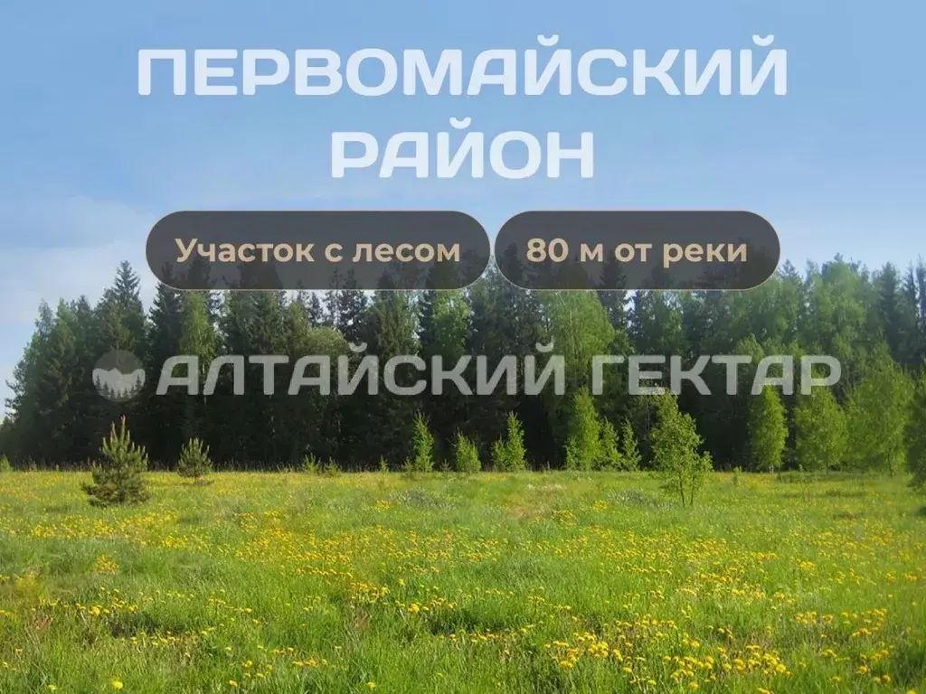Участок в Алтайский край, Барнаул Заречная ул., 19 (13.0 сот.) - Фото 1