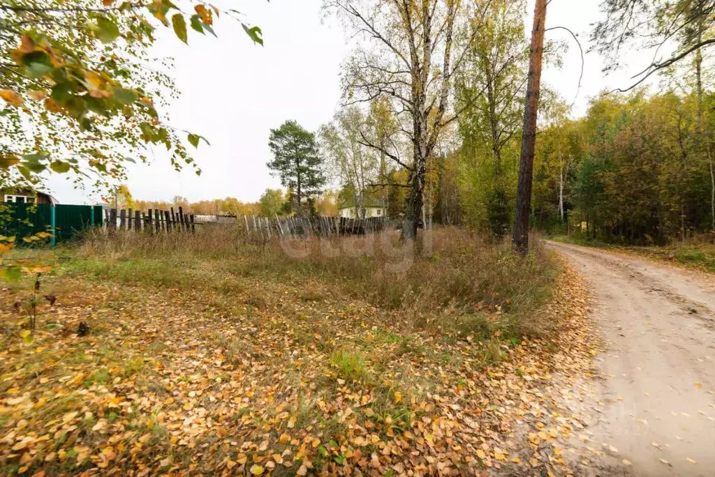 Участок в Курганская область, Кетовский муниципальный округ, пос. ... - Фото 1