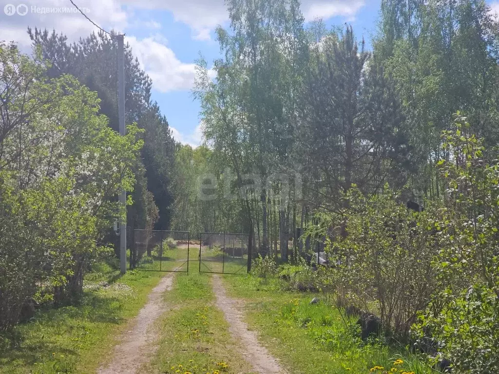 Дом в Псковская область, Дновский муниципальный округ, деревня Вишенка ... - Фото 2