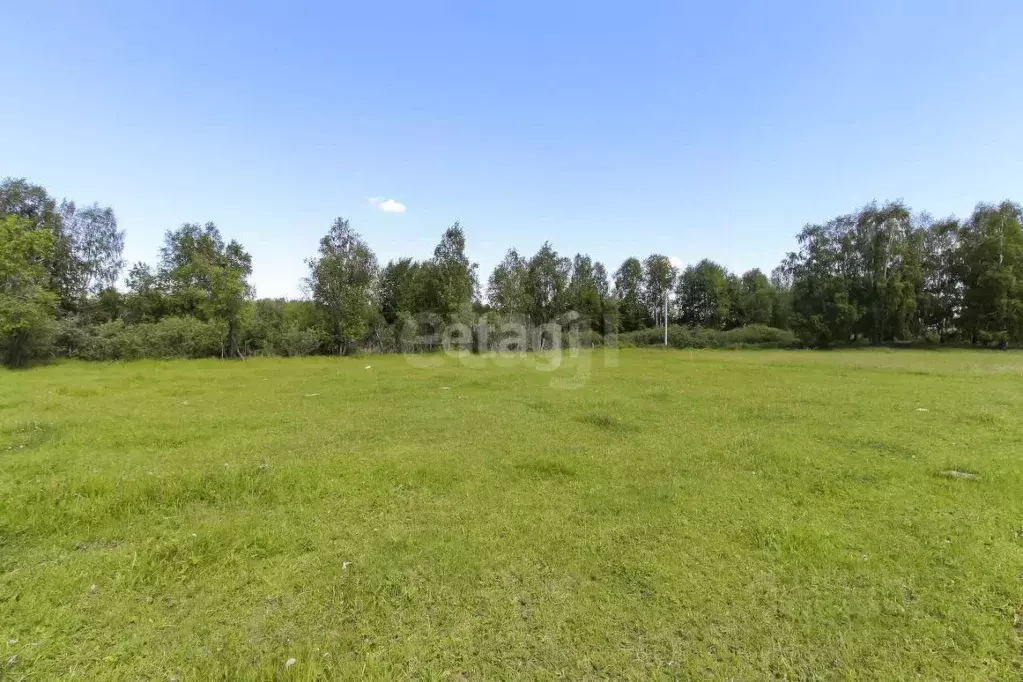 Участок в Тюменская область, Нижнетавдинский муниципальный округ, д. ... - Фото 1