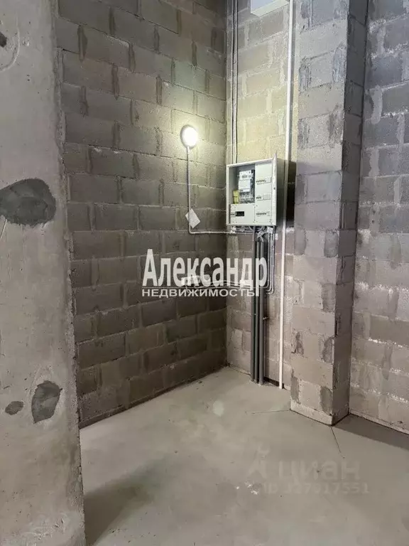 Торговая площадь в Санкт-Петербург Манчестерская ул., 5к1 (43 м) - Фото 2