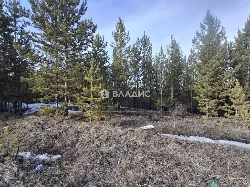 Участок в Бурятия, Улан-Удэ ул. Новосретенская (8.0 сот.) - Фото 2