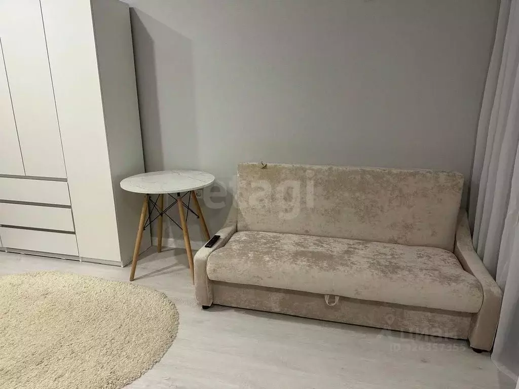 Студия Тюменская область, Тюмень ул. Надира Сагдеева, 8 (23.0 м) - Фото 2