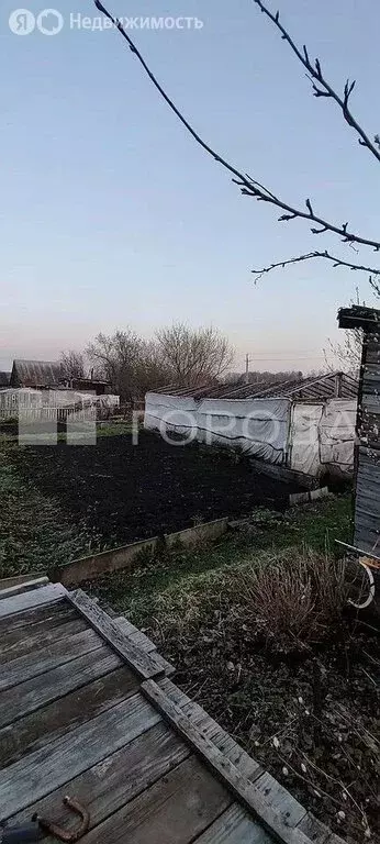 Участок в Новосибирск, садовое товарищество Заря, 10 (3.6 м) - Фото 1