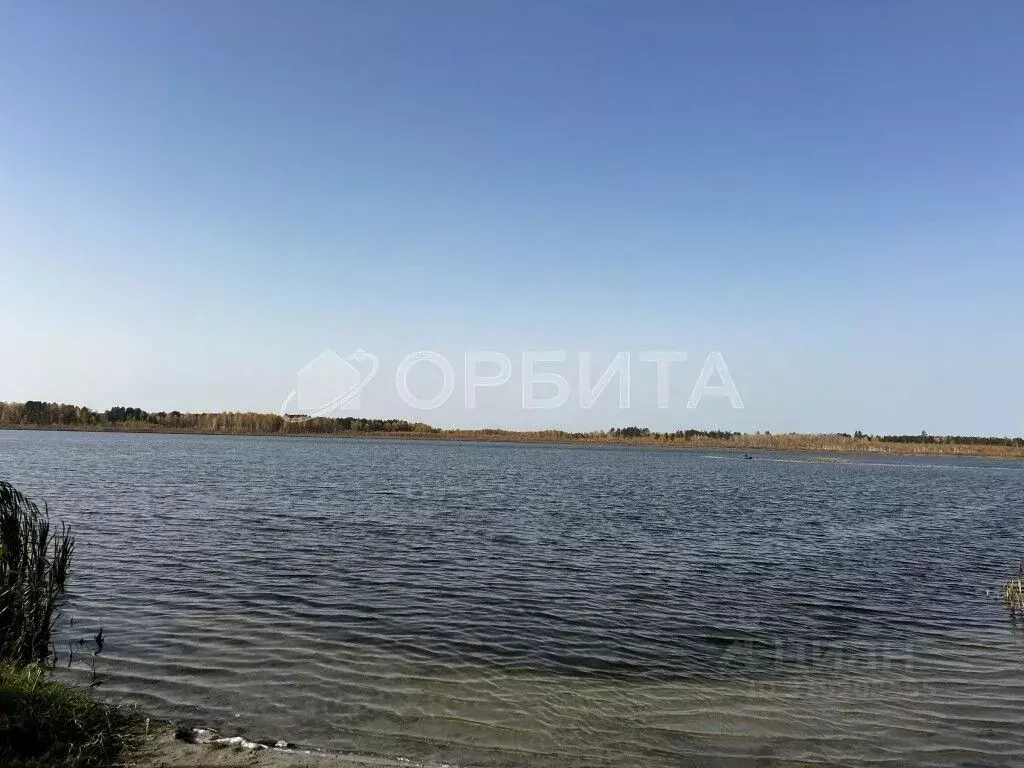 Участок в Тюменская область, Тюменский район, Дачи Хюгге ДНТ  (7.0 ... - Фото 0