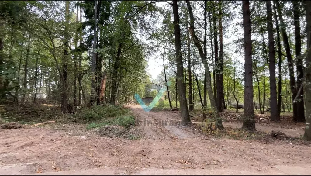 Участок в Московская область, Чехов городской округ, д. Прохорово, ... - Фото 0