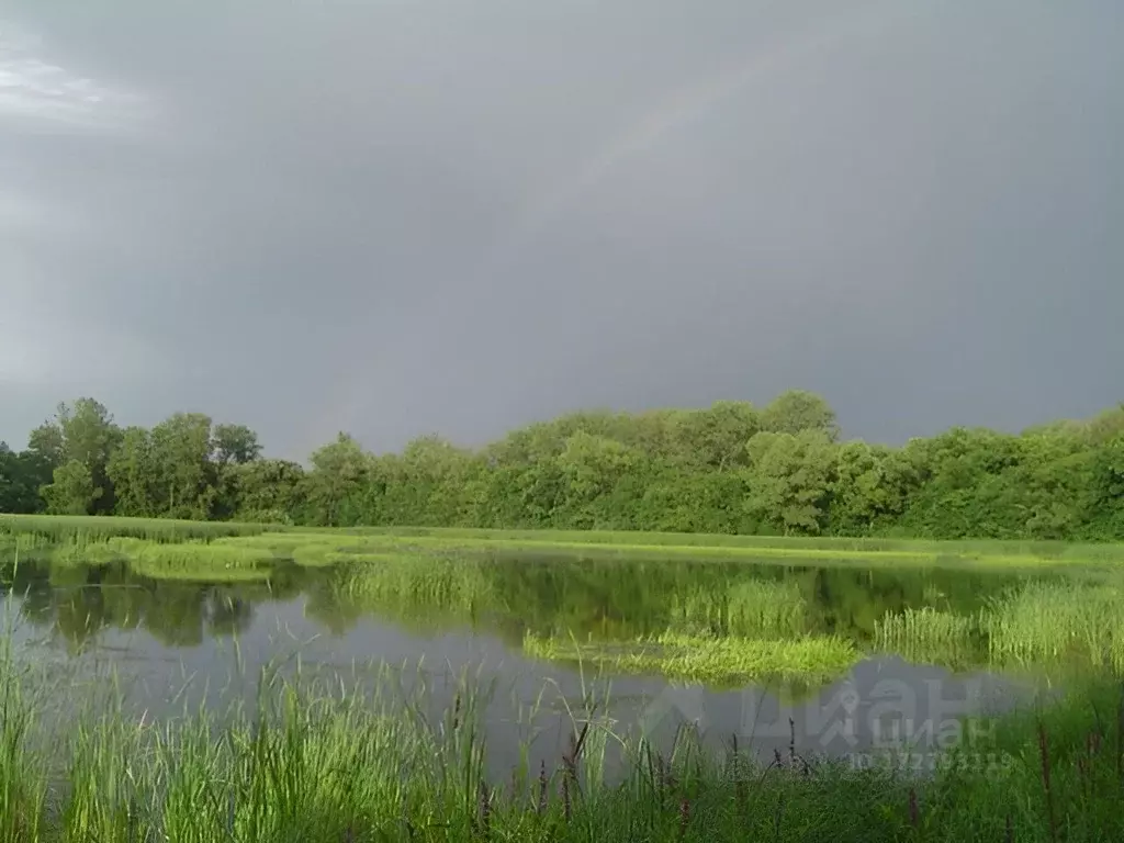 Участок в Самарская область, Безенчукский район, с. Кануевка ... - Фото 1
