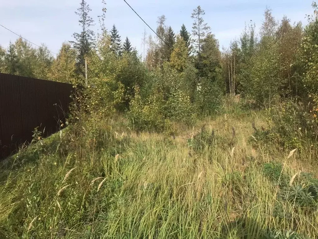 Участок в Ленинградская область, Всеволожский район, Куйвозовское ... - Фото 0