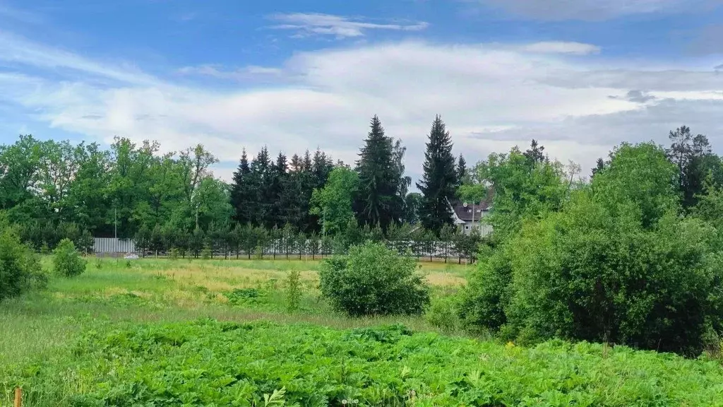 Участок в Ленинградская область, Выборгский район, Полянское с/пос, ... - Фото 1