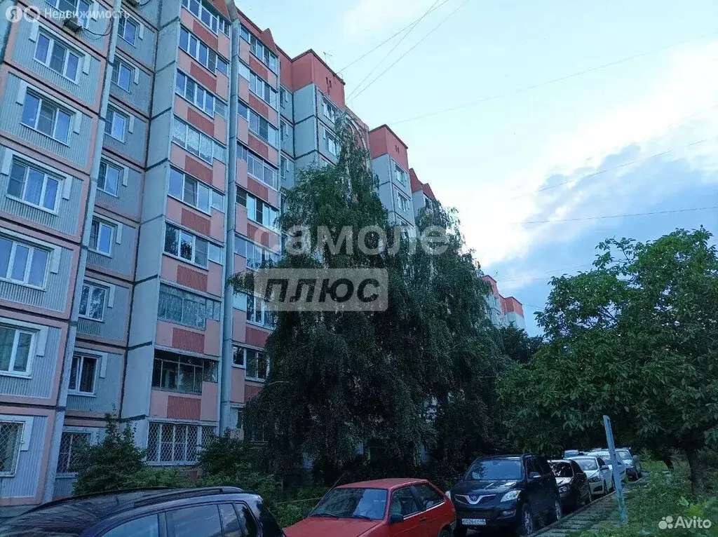 1-комнатная квартира: Липецк, улица имени Мичурина, 38А (38 м) - Фото 1