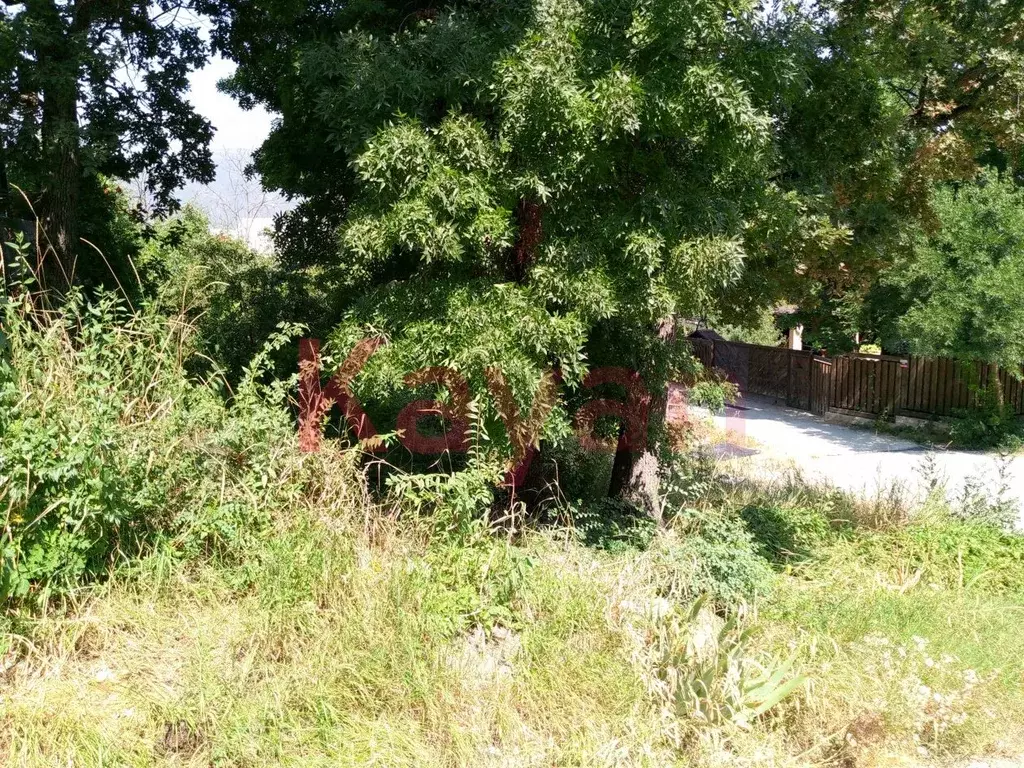 Участок в Краснодарский край, Геленджик Ветеран СНТ, ул. Виноградная, ... - Фото 1