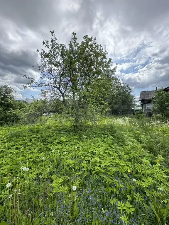 Участок 30 сот. (СНТ, ДНП) - Фото 1