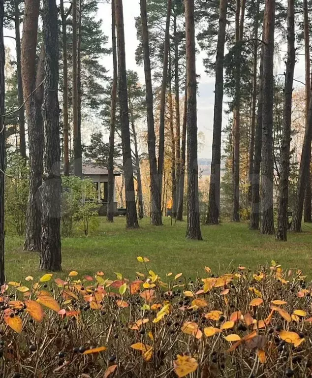 Участок 63 сот. (ИЖС) - Фото 0