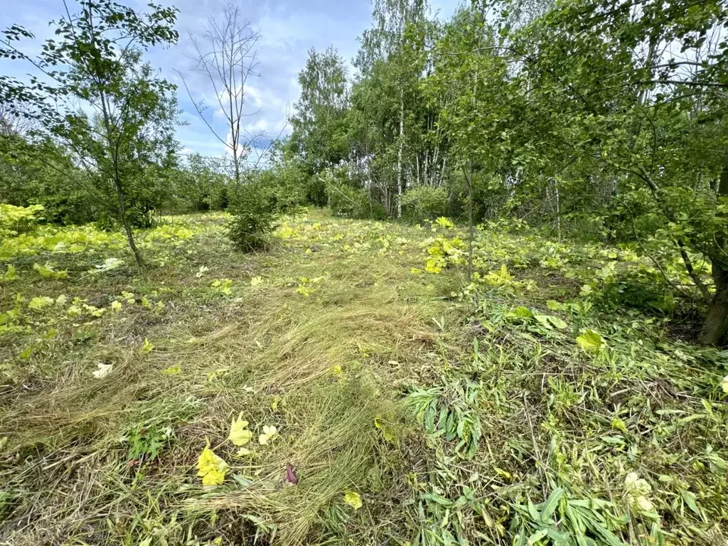 Участок в Московская область, Клин городской округ, Отрада-парк кп  ... - Фото 0