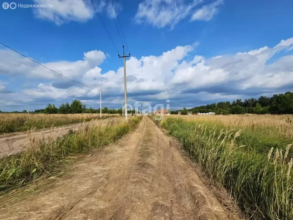 Участок в Поспеловское сельское поселение, посёлок Луговой (10.1 м) - Фото 1