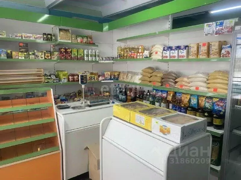 Торговая площадь в Башкортостан, Давлекановский район, д. Сергиополь ... - Фото 2