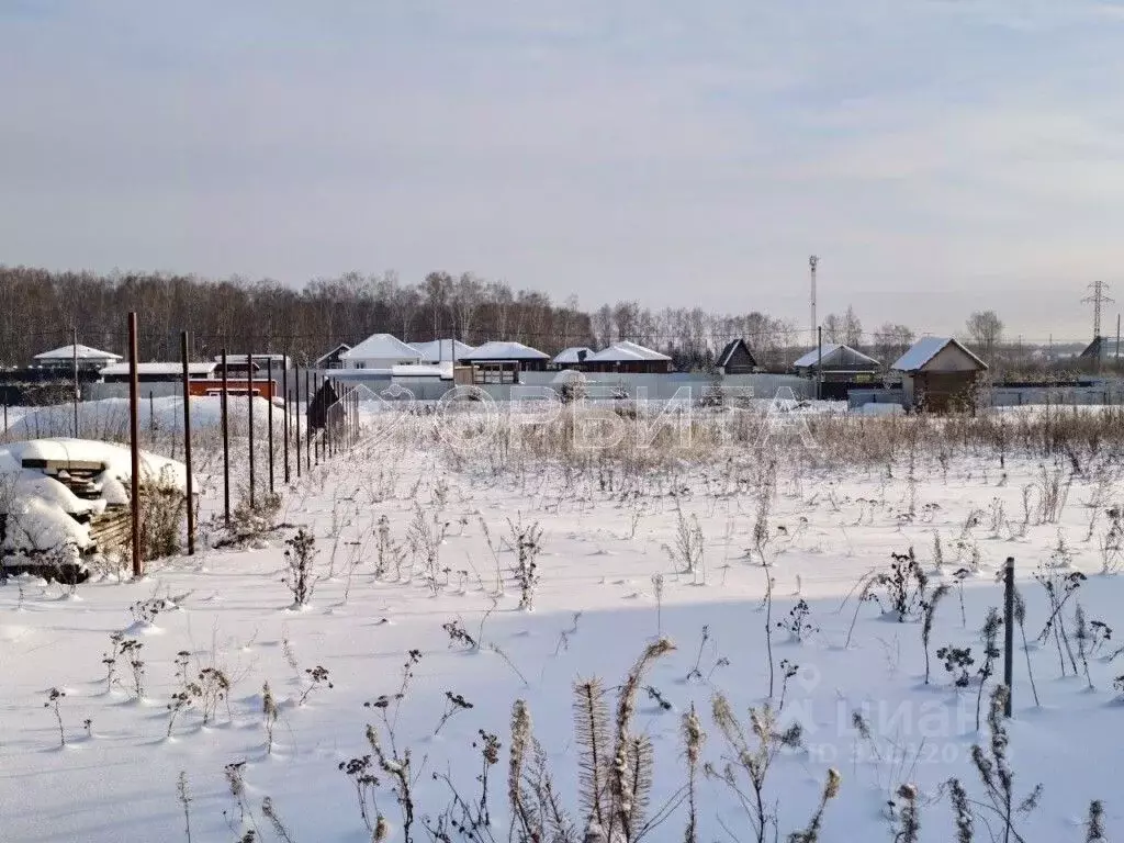 Участок в Тюменская область, Тюменский муниципальный округ, д. Елань, ... - Фото 1