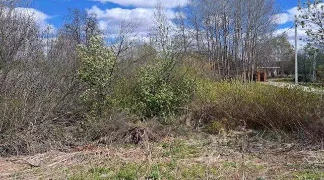 Участок в Московская область, Щелково городской округ, д. Каблуково ... - Фото 0