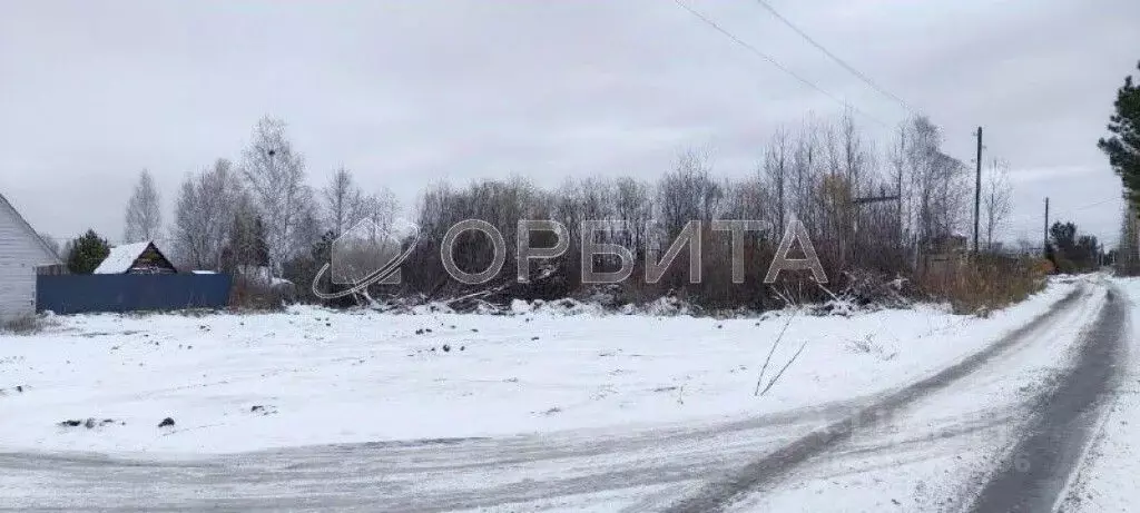 Участок в Тюменская область, Тюменский район, Маяк СНТ ул. Березовая ... - Фото 1