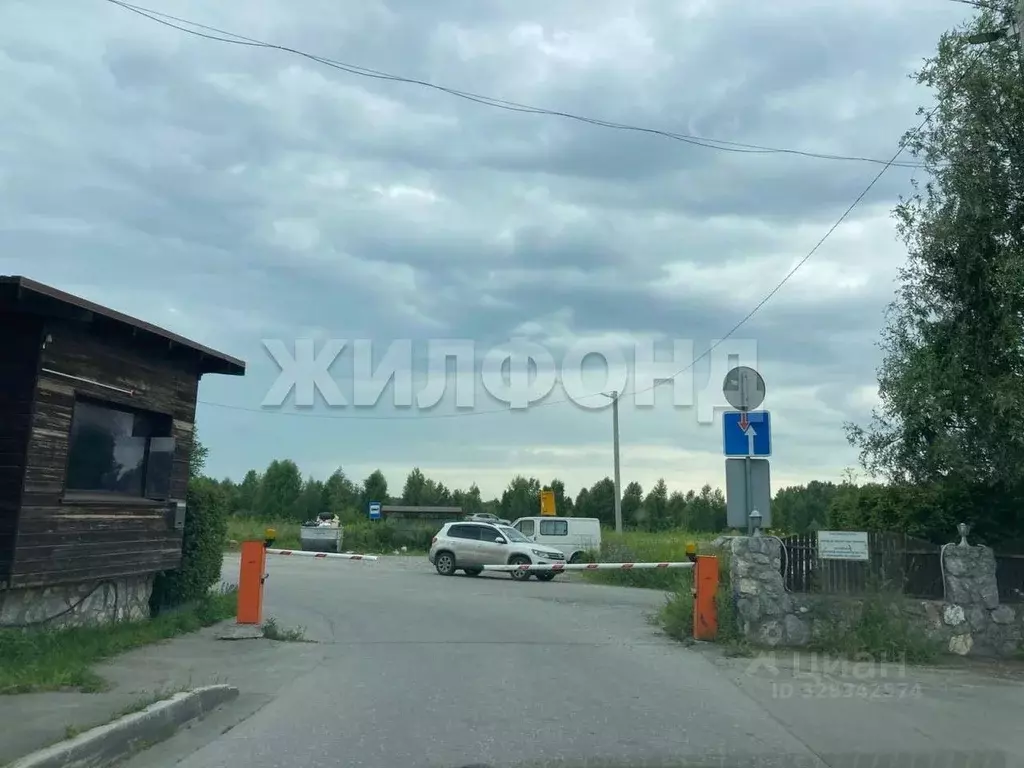 Участок в Новосибирская область, Новосибирский район, Барышевский ... - Фото 2