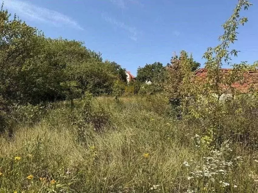 Участок в Белгородская область, Белгородский район, Дубовское с/пос, ... - Фото 1