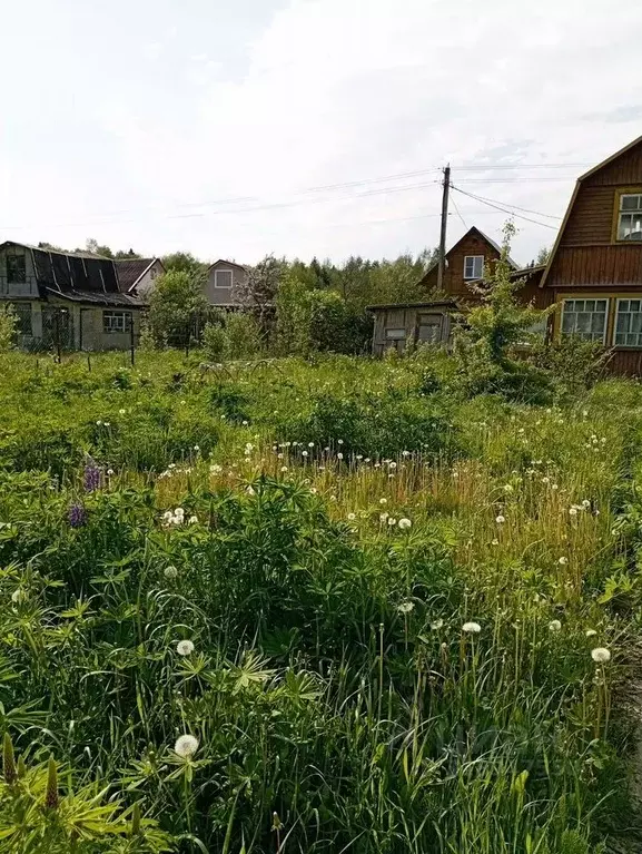 Дом в Московская область, Дубна Весна садовое товарищество, 1074 (16 ... - Фото 1