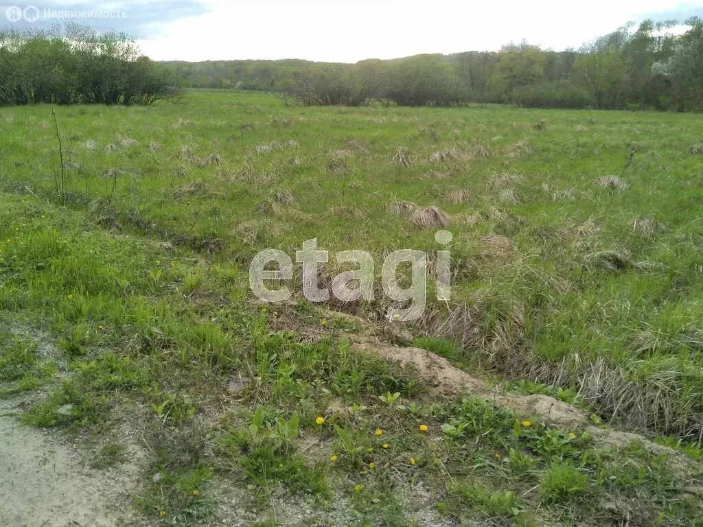 Участок в Горячий Ключ, СТ Кунпанова Поляна, Розовая улица (6 м) - Фото 0