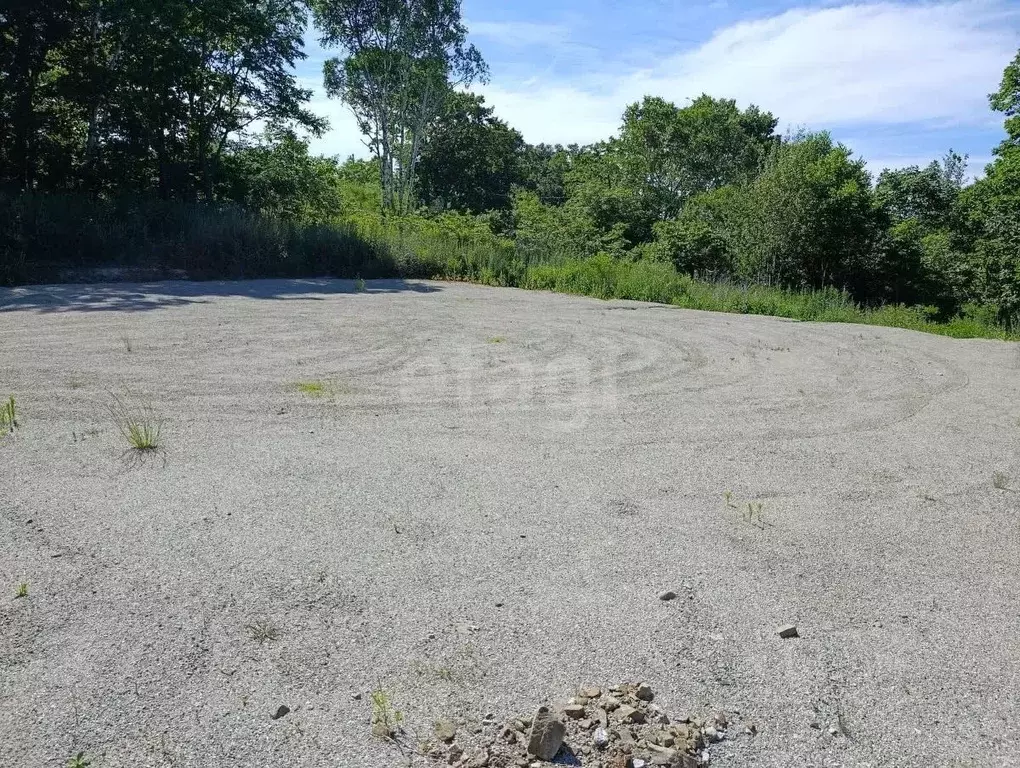 Участок в Приморский край, Надеждинский район, Дубки-1 СНТ  (10.0 ... - Фото 0