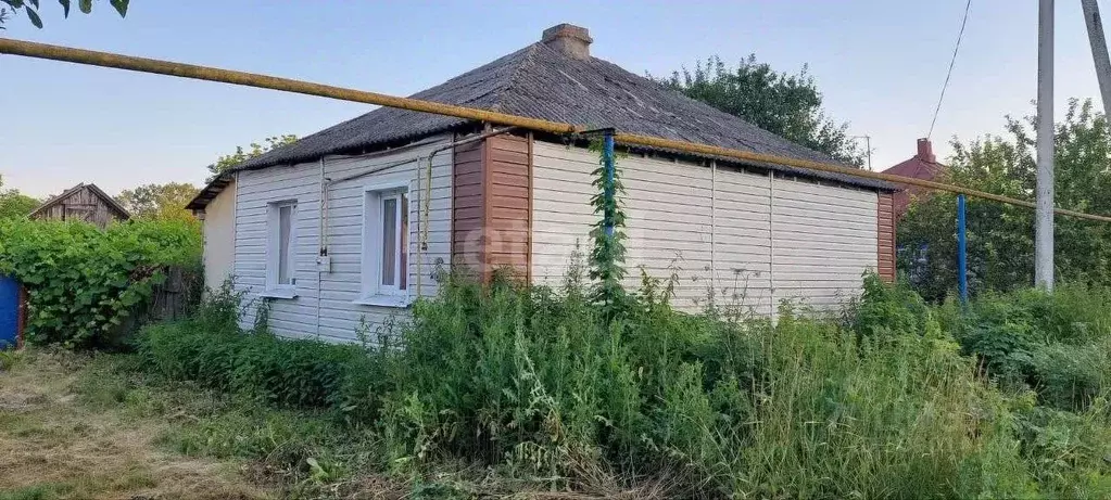 Дом в Белгородская область, Валуйский городской округ, с. Овчинниково ... - Фото 0