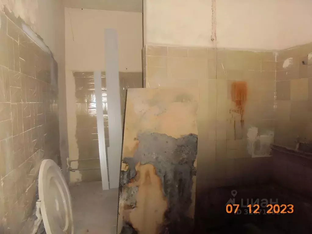 Помещение свободного назначения в Хабаровский край, ... - Фото 2