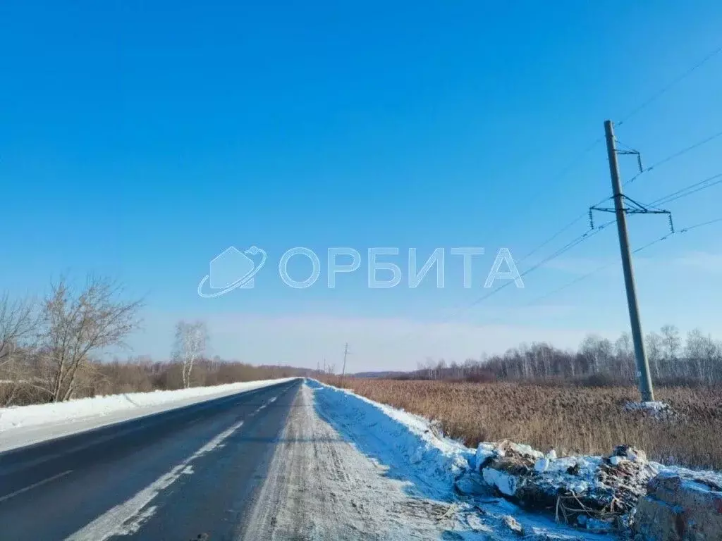 Участок в Тюменская область, Тюмень Велижанский тракт, 9-й км (50.0 ... - Фото 1