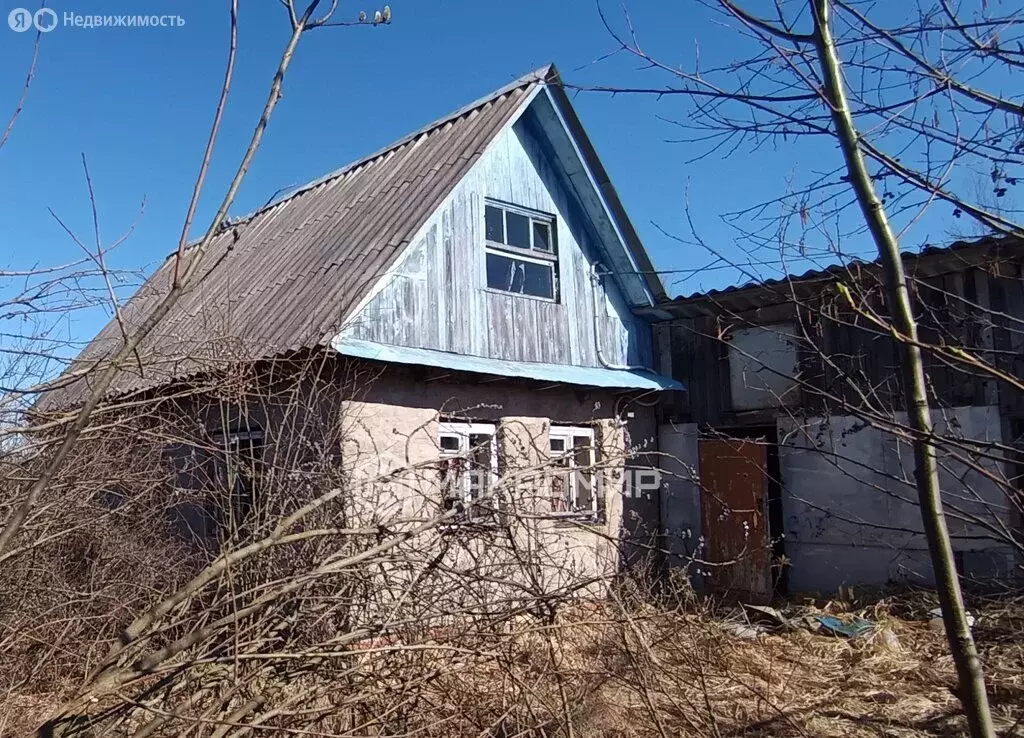 Дом в Кисельнинское сельское поселение, деревня Пупышево (50 м) - Фото 1