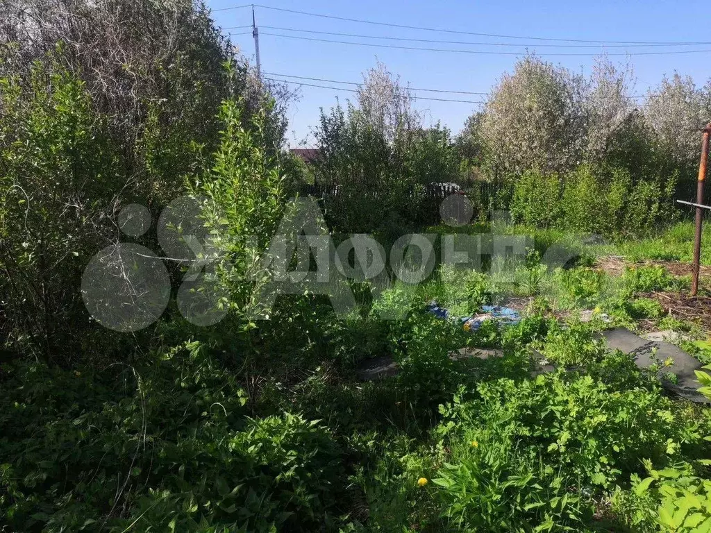 Участок 4,8 сот. (СНТ, ДНП) - Фото 1