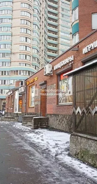 Помещение свободного назначения в Санкт-Петербург просп. Наставников, ... - Фото 2