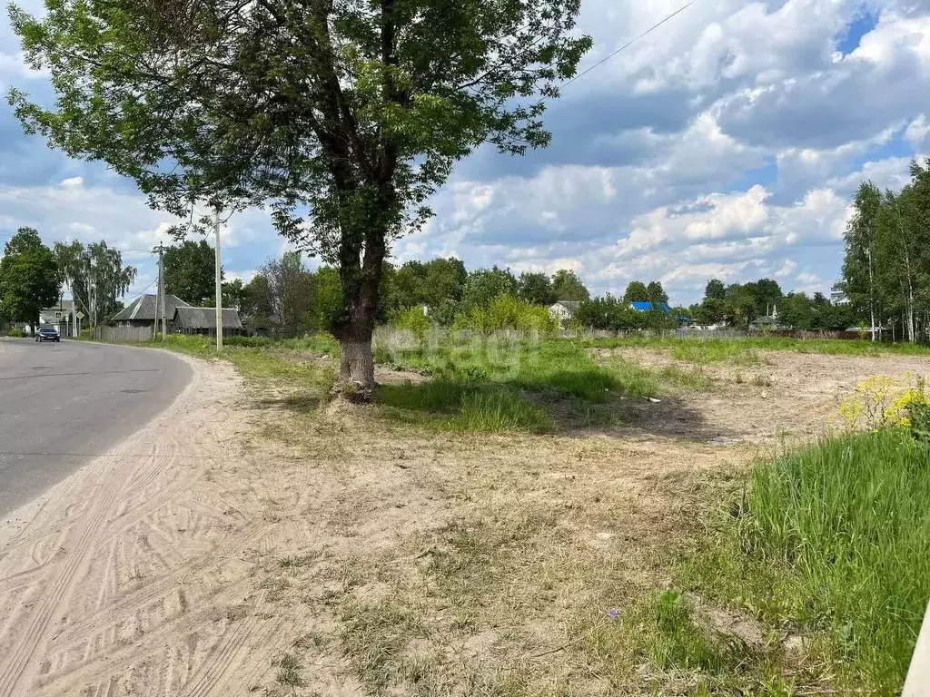 Участок в Брянская область, Дятьково ул. Красная Роза (17.5 сот.) - Фото 1