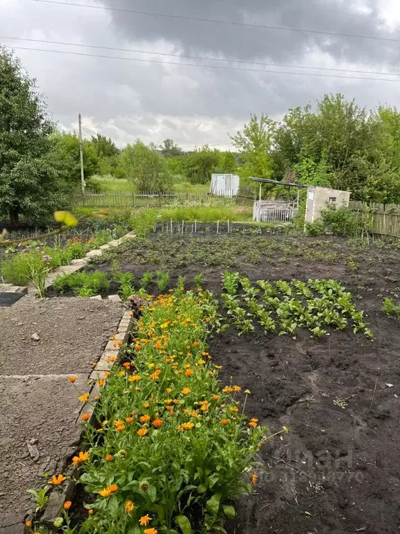 Участок в Белгородская область, Белгородский район, Разумное рп ул. ... - Фото 1
