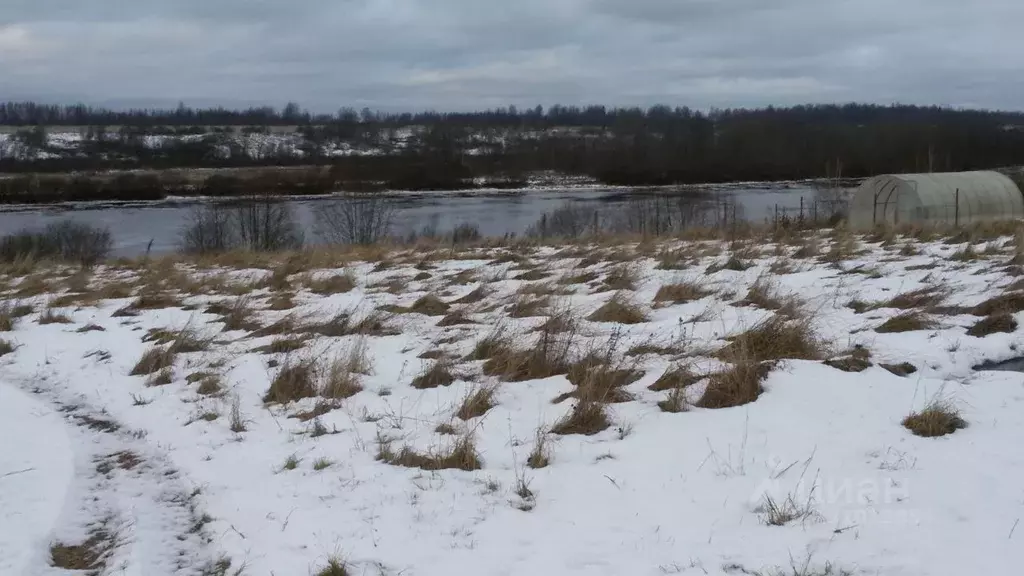 Участок в Новгородская область, Новгородский район, д. Шевелево  (15.0 ... - Фото 0