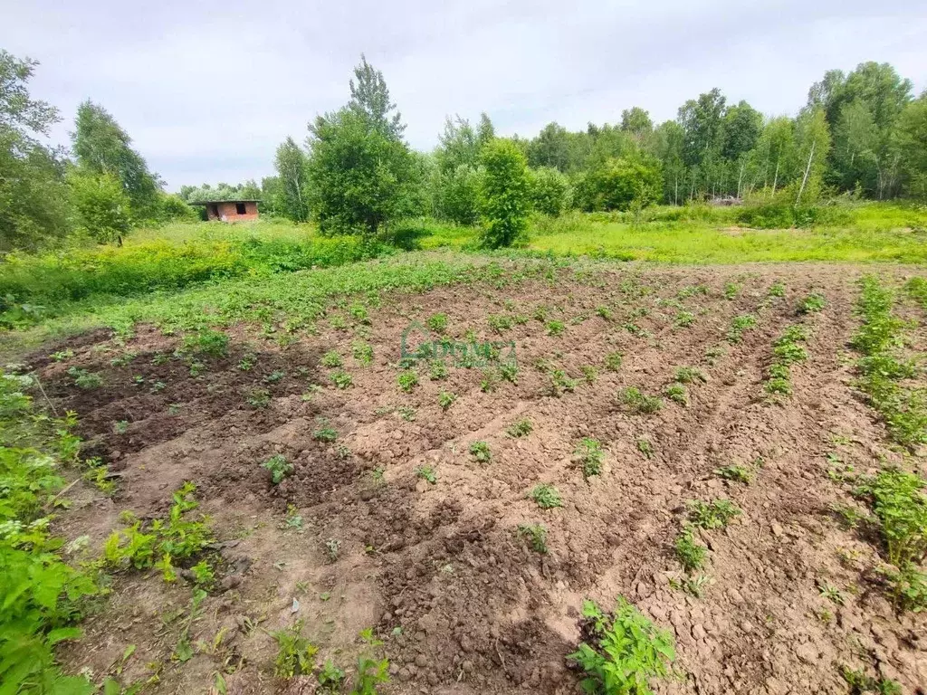Участок в Тюменская область, Тобольск Красная пл. (14.0 сот.) - Фото 2