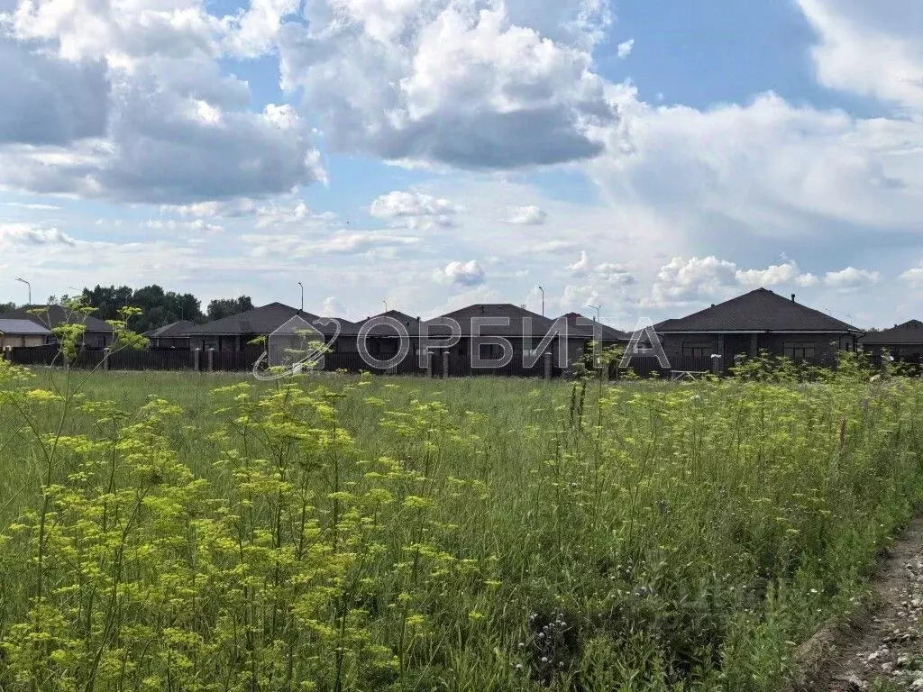 Участок в Тюменская область, Тюменский район, Новокаменский кп  (10.0 ... - Фото 0