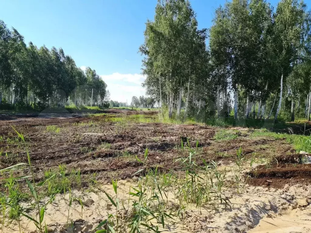 Участок 8 сот. (СНТ, ДНП) - Фото 1