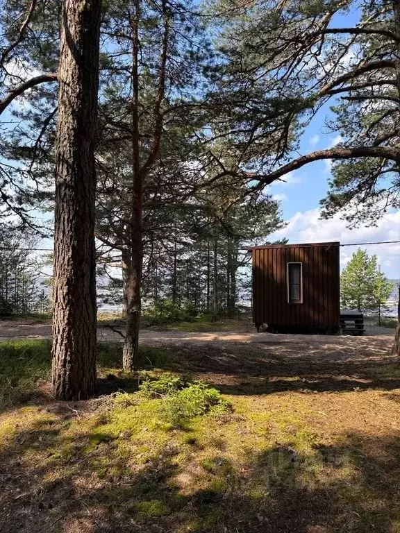 Дом в Карелия, Олонецкий район, Мегрегское с/пос, Устье-Обжанки тер. 1 ... - Фото 1