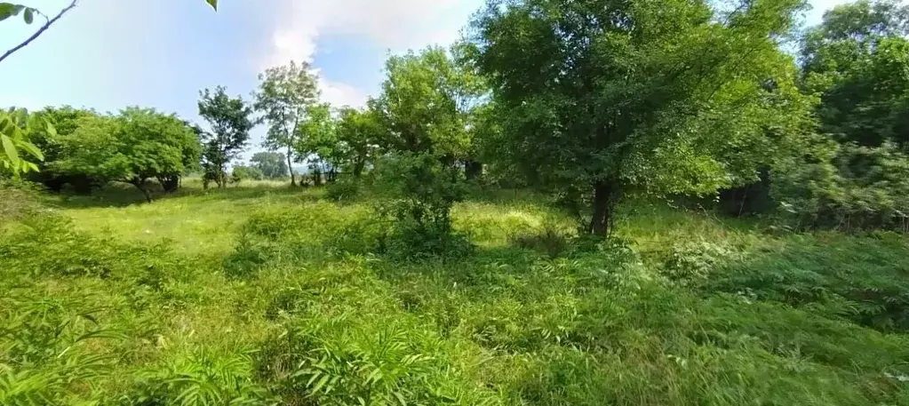 участок в краснодарский край, абинский район, ахтырское городское . - Фото 0