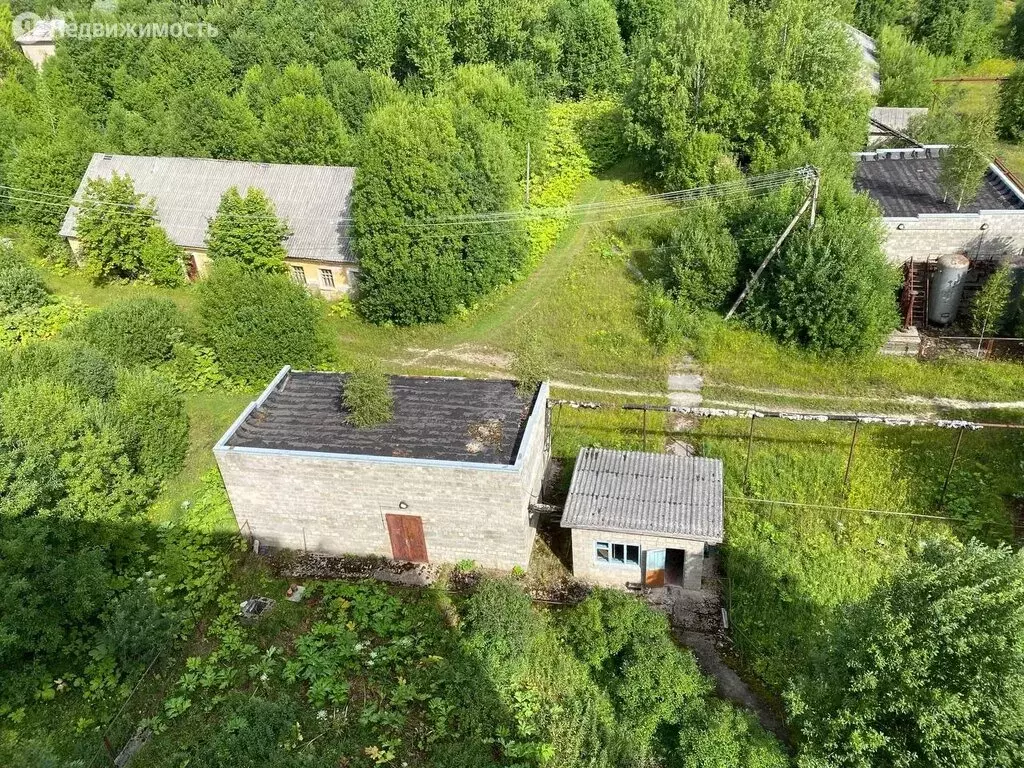 Купить Комнату В Г Волосово