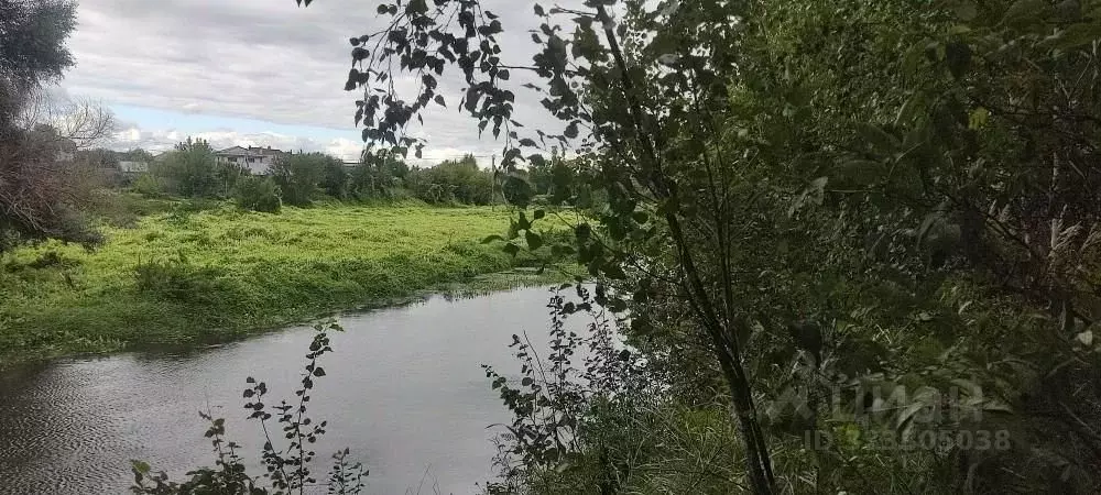 Участок в Московская область, Богородский городской округ, д. Аборино  ... - Фото 1